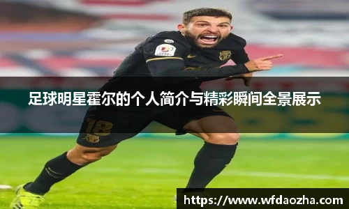足球明星霍尔的个人简介与精彩瞬间全景展示