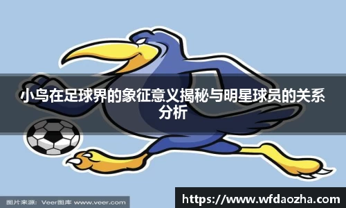 zoty中欧