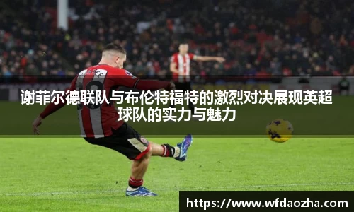 zoty中欧官网