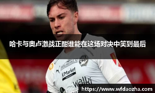 zoty中欧官方网站